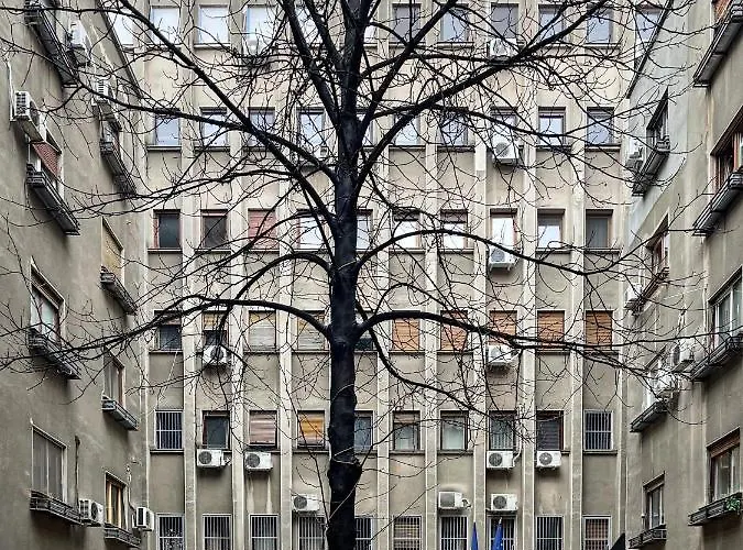 Qult - Maze Apartmán *